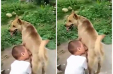 Mồ côi mẹ từ sớm, bé trai 5 tuổi có 'hành động lạ' khiến ai cũng xót xa không cầm nổi nước mắt