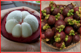 Ăn 1 quả măng cụt còn quý gấp 5 lần nhân sâm, Sh88bet đăng ký miễn phí thoả mái tận hưởng những lợi ích siêu bất ngờ
