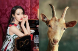 4 Shbet888.com nhà cái uy tín tốt bụng có thừa nhưng hay gặp 'vạ miệng', hễ mở mồm là gặp thị phi trong năm 2019