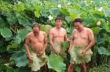 Hết thiếu nữ, lại đến 3 người đàn ông trung niên 'khoe thân' chụp ảnh sen khiến mọi người ngán ngẩm