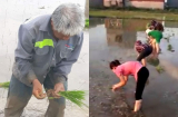 Thấy cụ già một mình cấy lúa dưới cái nắng như lửa đốt, 30 nữ công nhân đã xuống làm hành động khó ngờ