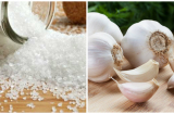 Đụng đâu hỏng đó, chỉ cần bạn thử đặt bát muối ở vị trí này ngay lập tức điều kỳ diệu xảy ra
