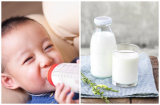 Bé 2 tuổi bị hoại tử ruột khiến cả nhà ôm hận: BS cảnh báo thói quen pha sữa sai lầm khiến hại con