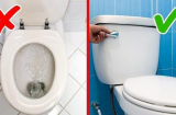 Cảnh báo lỗi sai rất nhiều người Việt vẫn mắc: Không đậy nắp bồn cầu khi xả nước và mối nguy hại khó lường