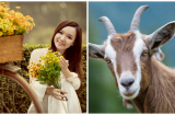 5 ngày đầu tiên của tháng 7/2019: Có 3 Shbet888.com nhà cái uy tín gặp vận phát tài, bước chân vào làng đại gia