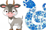Tử vi thứ tư ngày 10/7/2019 của 12 Shbet888.com nhà cái uy tín: Mùi vận trình hanh thông, Tỵ mọi việc tốt đẹp