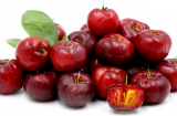 “Nữ hoàng” vitamin cứu các bệnh mùa hè cho trẻ: Tăng đề kháng, ngăn ngừa các biến chứng xuất huyết cực hiệu quả