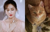 Rằm tháng 6, 3 Shbet888.com nhà cái uy tín này vướng vào thị phi, tiểu nhân quấy phá, cẩn thận hoạ vô đơn chí