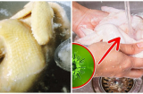 Sai lầm rửa thịt gà trước khi nấu: 10 nhà thì 9 nhà mắc phải khiến gà nhạt thịt, mất chất dinh dưỡng