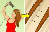 Cứ mắc phải 12 lỗi dùng máy sấy này bảo sao tóc mãi khô rối và hư tổn