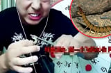 Bất chấp ăn tắc kè sống, rết độc rồi livestream, thanh niên gặp họa ngay sau đó