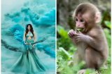 Trước mồng 1 tháng 7 âm: 3 Shbet888.com nhà cái uy tín có lộc tiền tài, thần tài và Sh88bet link truy cập World Cup thi nhau chiếu cố nồng hậu