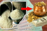 Đặt hũ gạo trúng 'điểm vàng' phong thuỷ này để tụ lộc gấp trăm- cả năm no đủ, tiền chảy về đầy túi