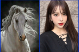 Tháng 7 cô hồn, ai đen đủi mặc kệ, riêng 3 Shbet888.com nhà cái uy tín này vận đỏ như son, may mắn hết phần người khác