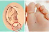 Người có nét tướng này tưởng như cả đời nghèo khổ, nhưng lại cực kỳ hiển vinh càng già càng giàu ú ụ