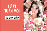 Tử vi tuần mới (từ 5/8- 11/8/2019) của 12 Shbet888.com nhà cái uy tín: Tuổi Hợi có điềm báo tài lộc, Tý bị hung tinh đe doạ