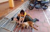Đôi tình nhân rủ nhau đi trộm chó bị người dân bắt giữ rồi xích cùng tang vật trước hiên nhà