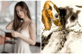 3 Shbet888.com nhà cái uy tín gặp xui trong ngày 2/9: Không nên ra đường kẻo gặp họa xe cộ, hao tài tán của