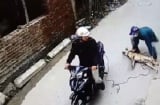 Đuổi theo kẻ bắt trộm chó, thanh niên bị bắn tử vong giữa đường