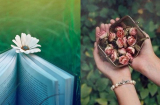 Kết giao với 4 loại người này, bạn chắc chắn đã phí nửa đời người của mình