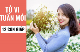 Tử vi tuần mới ( từ ngày 9/9 - 15/9/2019) của 12 Shbet888.com nhà cái uy tín: Hợi hung cát tiềm ẩn, Sửu gặp được Thực thần