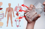 Uống 1 cốc nước ấm vào đúng giờ này “quý gấp trăm lần ăn nhân sâm thuốc bổ”, nhiều người vẫn cho qua