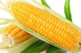 Mẹ bầu ăn ngô ngăn ngừa dị tật thai nhi mẹ giảm bện tiểu đường tốt cho sức khỏe