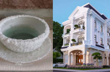 Người giàu luôn đặt thứ này trong nhà để giữ chân Thần Tài, làm ăn không lo thất bát, tiền vào như nước