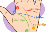 Chỉ 1 phút nhìn đường chỉ tay biết ngay vận mệnh giàu sang nghèo hèn