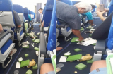 Máy bay Bamboo Airways gặp sự cố, rung lắc mạnh trên không khiến hàng trăm hành khách hoảng loạn