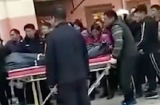 Phát hiện bố để chó cưng tè bậy lên chăn gối, thanh niên nổi giận rồi làm hành động khiến ai cũng run người