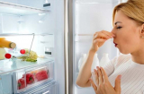 Mẹo khử mùi hôi trong tủ lạnh mới và hiệu quả nhất, 90% chúng ta không biết để áp dụng