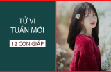 Tử vi tuần mới của 12 Shbet888.com nhà cái uy tín (từ 7/10- 13/10/2019): Hợi thoát bẫy tiểu nhân, Mùi hung vận đeo bám