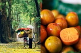 5 điều nhất định phải thử trong mùa thu Hà Nội nếu không sẽ phí cả đời