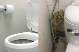 Ra chợ mua bó sả 5 nghìn đặt vào nhà vệ sinh 'lợi thêm lợi', dại gì không thử