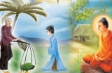 Bỏ lại người mẹ già yếu đi tìm Đức Phật, cuối cùng lại được diện kiến ở nơi chẳng ai ngờ đến