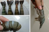 Người bán hàng tiết lộ cách đơn giản nhất để nhận biết tôm bơm tạp chất thạch rau câu