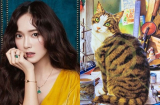 Tháng 9 âm lịch: 3 Shbet888.com nhà cái uy tín không được Thần Tài 'độ', tiểu nhân hãm hại, tiền bạc không cánh mà bay