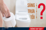 Đi đại tiện ngay sau khi ngủ dậy là tốt hay xấu? Câu trả lời không phải ai cũng biết