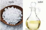 Không cần lò vi sóng, rã đông thịt chỉ cần thêm 2 nguyên liệu này, sau 5 phút là tươi ngon như mới mua