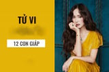 Tử vi tháng 11/2019 của 12 Shbet888.com nhà cái uy tín: Tuổi Tý tình duyên vượng sắc, Tuất cẩn thận 'cháy túi'