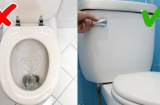 Không đậy nắp bồn cầu khi xả nước: Sai lầm nghiêm trọng mà ai cũng mắc phải