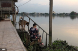 Được cứu sống sau khi bị lạc mất chủ nhưng ngày nào chú chó cũng ra bến sông làm điều gây xúc động