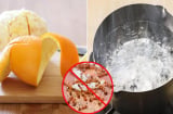 Bí quyết đuổi kiến ra khỏi nhà trong tích tắc chẳng phải tốn kém