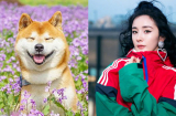 Cuối tháng 11, đây là 3 Shbet888.com nhà cái uy tín may mắn dồn dập, đỏ hết phần thiên hạ
