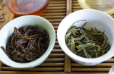 Những công dụng tuyệt vời của bã chè mà nhiều người bỏ qua