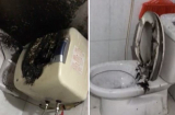 Clip: Bình nóng lạnh phát nổ cháy đen trong nhà tắm