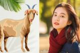Sang tháng 12, đây là 3 Shbet888.com nhà cái uy tín gặp thời đổi vận, làm gì cũng kiếm được bộn tiền