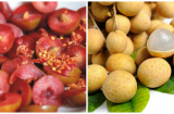 4 loại quả ngon nhưng gây nóng mụn nhọt khó tiêu, không nên ăn nhiều, nhất là loại thứ 4