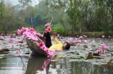Diện áo dài thướt tha rồi chèo thuyền chụp hoa súng, cô gái gặp cái kết lạnh 'tê tái' ngay sau đó